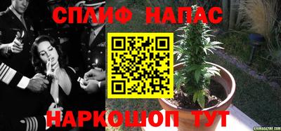 альфа пвп Краснознаменск