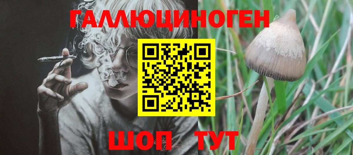 Псилоцибиновые грибы мицелий Клин